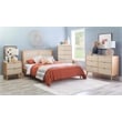 Linon Winnie Queen Bed Frame with Woven Rattan Cane Headboard in Natural Wood