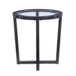 Linon 3 Piece Wood Coffee & End Table Set Glass Top in Umber Paint