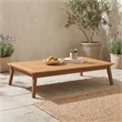Linon Farrah Outdoor Teak Wood Coffee Table 12.4