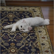 Linon Logan Marmara Polyester 2' X 3' Accent Rug in Navy and Ivory