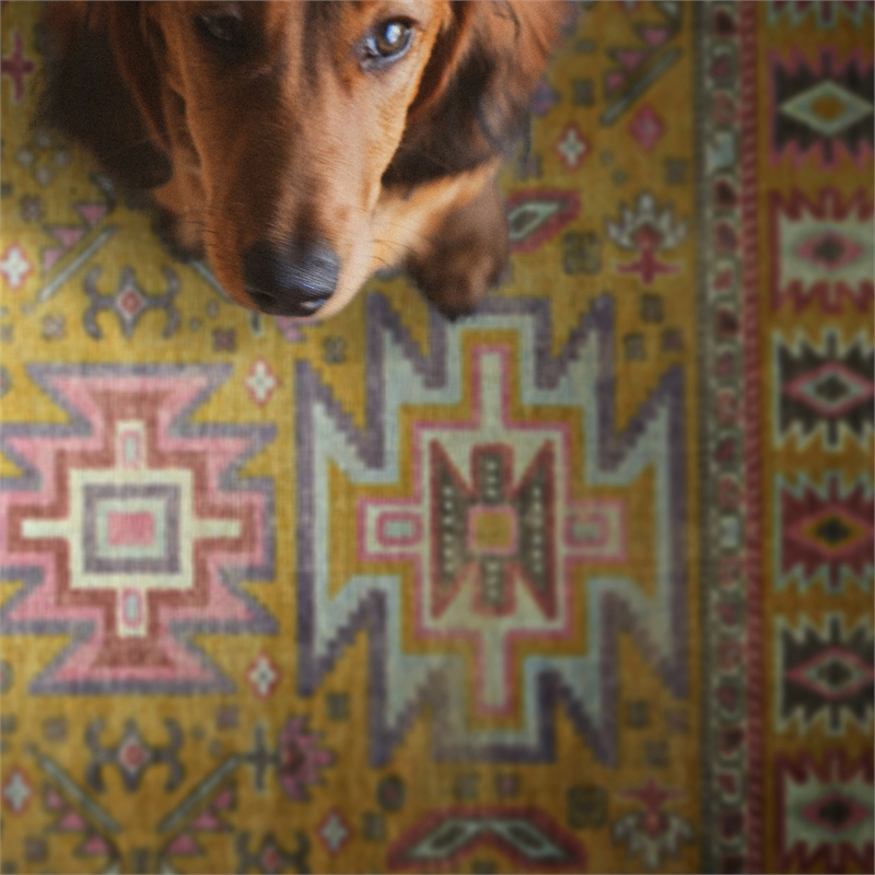 Linon Logan Sivas Polyester 2' X 3' Accent Rug in Yellow and Ivory