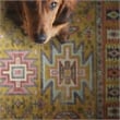 Linon Logan Sivas Polyester 5' X 7' Area Rug in Yellow and Ivory