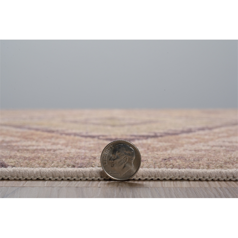 Linon Dillon Tifton Sand and Brown 5' X 7' Area Rug