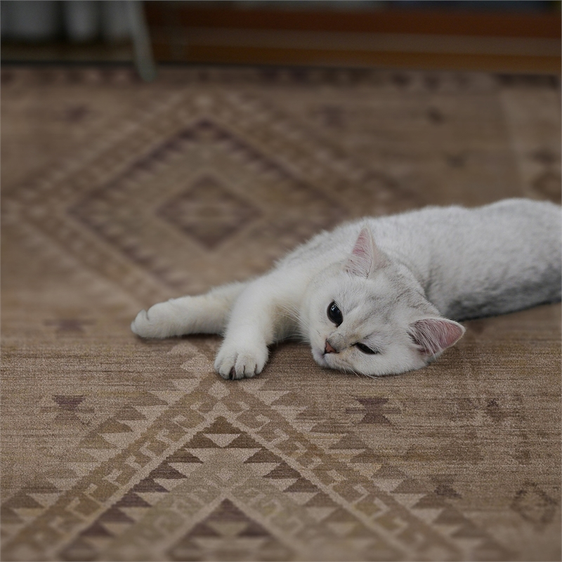 Linon Dillon Tifton Sand and Brown 8' X 10' Area Rug