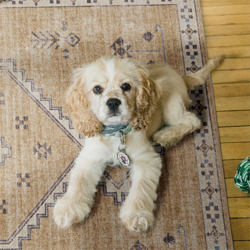 Linon Dillon Wren Sand and Ivory 8' X 10' Area Rug