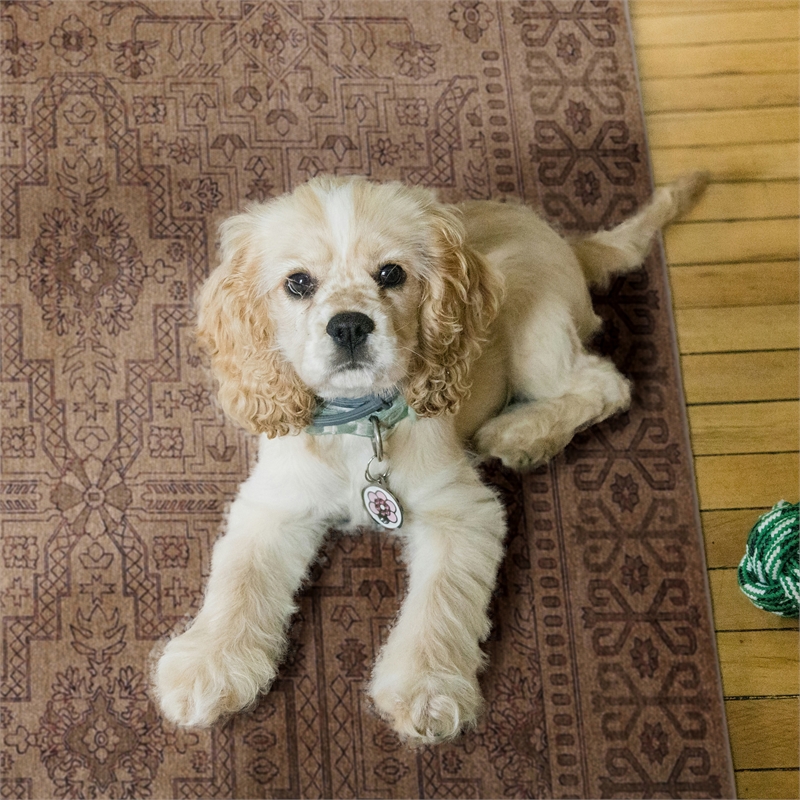 Linon Dillon Sylvester Sand and Beige 8' X 10' Area Rug