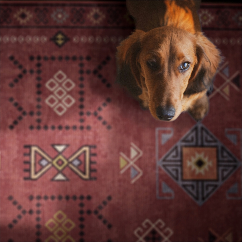 Linon Dillon Austin Red and Cream 5' X 7' Area Rug