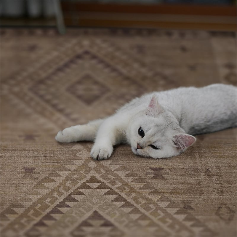 Linon Dillon Tifton Sand and Brown 3' X 5' Accent Rug