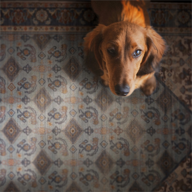 Linon Dillon Cordele Blue and Ivory 5' X 7' Area Rug