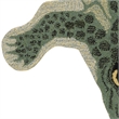 Linon 3' X 5' Jungle Crocodile Shaped Accent Rug in Green Wool