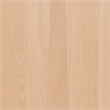 Linon Brina Set of 2 High Back Counter Stools in Unfinished Natural Beechwood