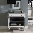 Linon Mason Mirrored Wood One Drawer Two Door Console Table in Gray