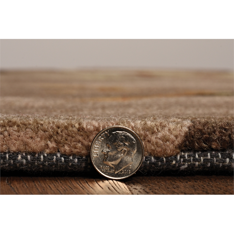 Linon Trio Space Dyed Hand Tufted Polyester 5'x7' Rug in Beige