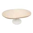 Salt Life Home Echo Isles Extendable 54