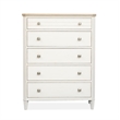 Salt Life Home Echo Isles Sea Pearl And Driftwood 5-Drawers Chest