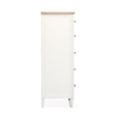 Salt Life Home Echo Isles Sea Pearl And Driftwood 5-Drawers Chest