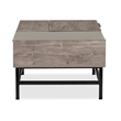 Magnussen Home Fenwick Rectangular Lift Top Cocktail Table