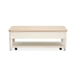 Salt Life Home Echo Isles Lift Top Storage Cocktail Table With Casters