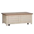 Liberty Furniture Farmhouse Reimagined Storage Trunk