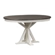 Liberty Furniture Allyson Park Pedestal Table - White