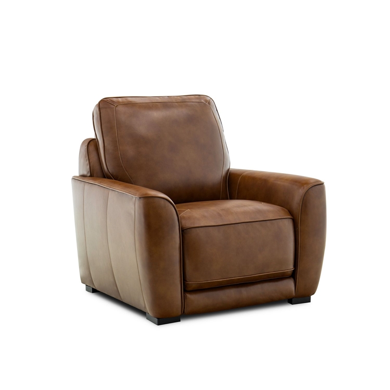Liberty Furniture Blake Sofa & Recliner Power Reclining Set - Brown Leather