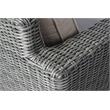 Alfresco Home Castlewood 4-piece Resin Wicker Seating Group in Stone Gray