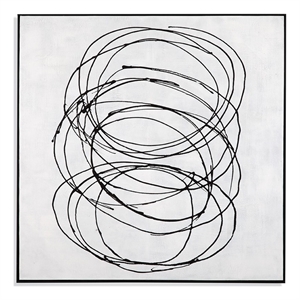 Radii in Floating Black Frame on Canvas Fabric