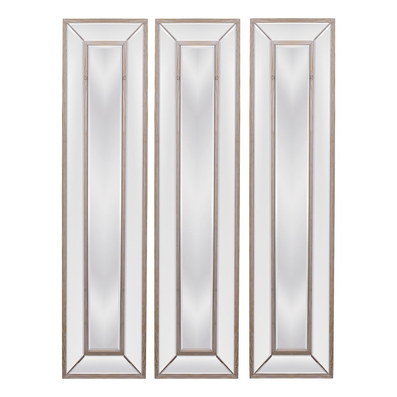 Pompano Floor Mirror in Brown Wood Frame