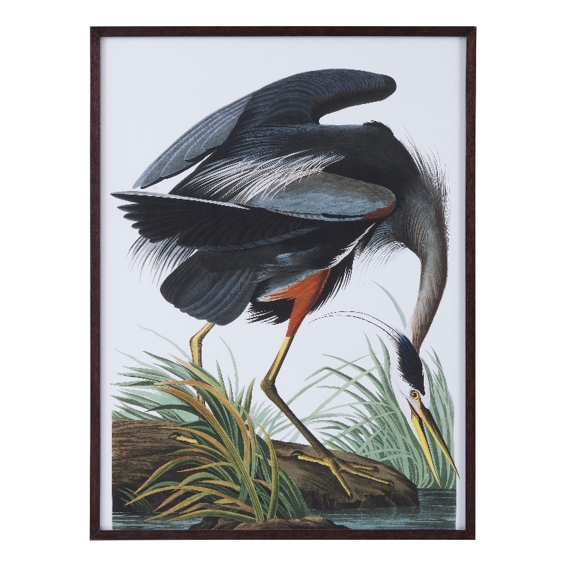 Gray Audubon Great Blue Heron Framed Print Walnut