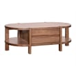 Warm Walnut Winston Cocktail Wood Table Mid Century Modern Storage