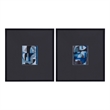 Leo Black Wood Framed Print Set of 2 Modern Wall Art