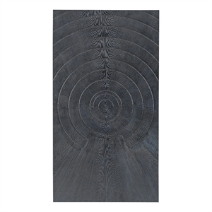 Bassett Mirror Nessus Black Framed Canvas Wall Art for Home Decor