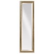 Silver Gold Wood Cheval Floor Mirror