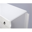 Butler Specialty Wilshire Glossy Accent Chest In White