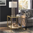 Butler Specialty Taren End Table In Gold