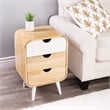 Butler Specialty Danville Beige Mango Wood  Modern End Table With Storage