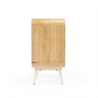 Butler Specialty Danville Beige Mango Wood  Modern End Table With Storage