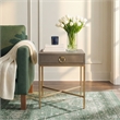 Butler Specialty Modern Sullia One Drawer Leather End Table In Gold
