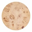 Butler Specialty Company Billie Burl Wood End Table - Light Burl
