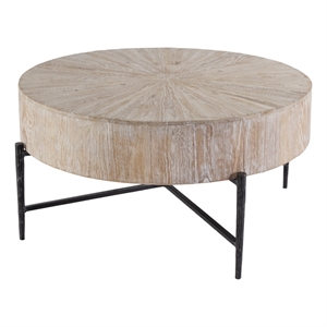 Butler Specialty Company Akemi 38.5&quotW Wood and Iron Coffee Table - White Washed