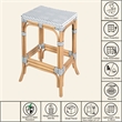 Butler Specialty Company Laguna 24.5 in. Seat Height Rattan Counter Stool - White and Gray