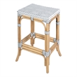 Butler Specialty Company Laguna 24.5 in. Seat Height Rattan Counter Stool - White and Gray