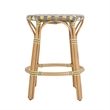 Butler Specialty Company Ballito 24 in. Seat Height Oval Rattan Counter Stool - Yellow and Brown