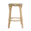 Butler Specialty Company Ballito 24 in. Seat Height Oval Rattan Counter Stool - Yellow and Brown