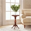 Butler Specialty Whitman Olive Ash Scalloped Edge Accent Table
