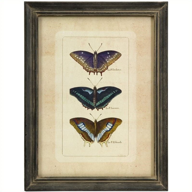 IMAX Corporation Butterfly Collection  Wall Art  Set of 3 