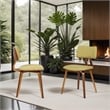 Armen Living Jaguar Modern Wood Dining Chair in Walnut Wood and Green