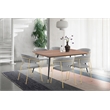 Armen Living Nara Velvet/Metal Dining Room Chairs in Gray/Gold (Set of 2)