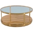 Armen Living Hattie Mid-Century Wood/Glass Coffee Table in Light Espresso/Gold