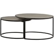 Armen Living Rina 2-Piece Metal/Concrete Nesting Coffee Table Set in Gray/Black